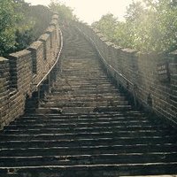 Alissa Wang (@alissawang) 's Twitter Profile