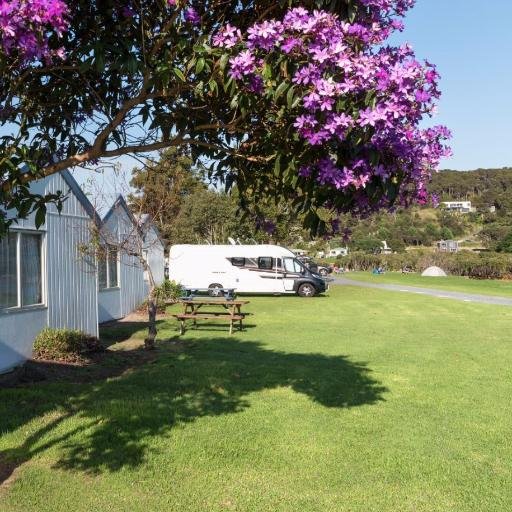 WaitangiHolida1's profile picture. Waitangi's most centrally located Holiday Park. Located 2km flat walk along the waterfront to Paihia village and central to all tourist attractions