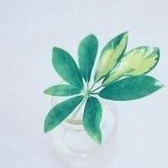 HelenExhibition's profile picture. 저는 Helen라고 합니다. 지금 중국 광저우 소방안전 전람회에서 일을 하고 있습니다.소방제품에 관심이 있는 사람이나 기업, 중국에 오고 전람회를 참가하고 싶은 분들은 저 한테 연락해 주세요!