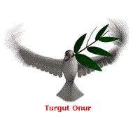 Turgut Onur(@iwyanof) 's Twitter Profileg