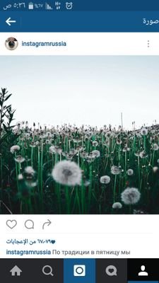 Shoo_Girl's profile picture. 