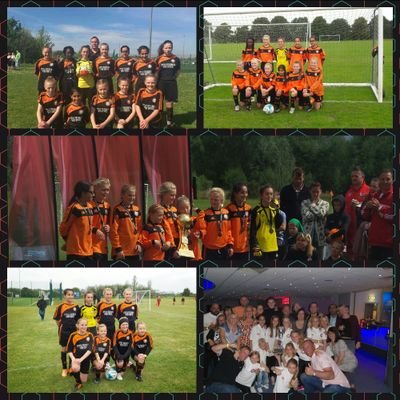 LTD Lionesses 16/17 are an U14 Girls football team playing in the Essex county girls league. new league, new kit, new format, new players, new attitude.......