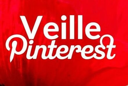 Veille #Pinterest francophone by @sophieturpaud ➡️ formation et Community management spécialiste #Pinterest / #PinterestMarketing