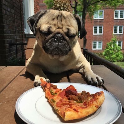 Djf130691Dan's profile picture. 