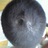 ilujime's profile image