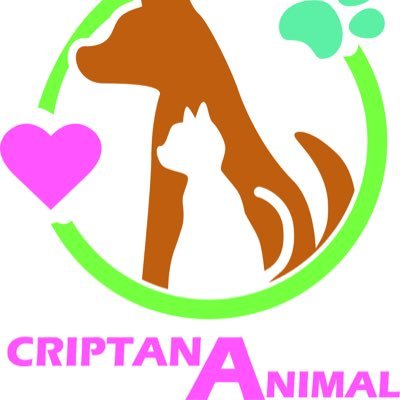 criptanaAni Profile Picture