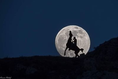 youshaa_sagheer's profile picture. التصوير موسيقى الأدب كرة القدم