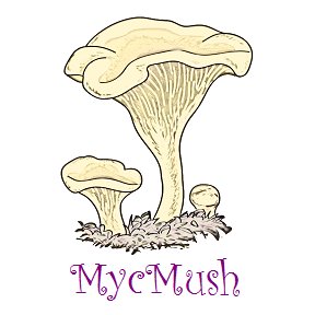 Mycologist at MycMush https://t.co/LOqiB1DnYi

High QUALITY Mushroom Mycelium on dried seeds and dowels for logs! EASY to Grow! FAST international shipping!