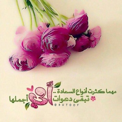 Nomf331's profile picture. 