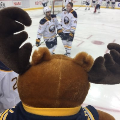 I'm just a Moose that loves hockey and going on adventures! Go Buffalo!