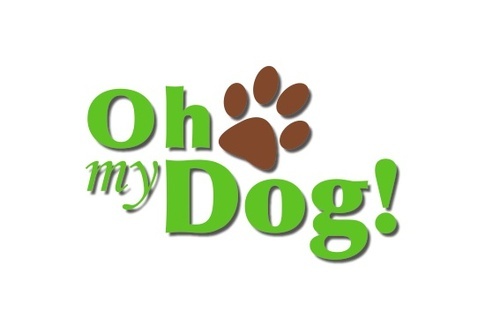 Oh my dog казань. Oh my dog сити молл. Oh my dog нижний новгород. Oh my dog казань. Oh my dog баннер.