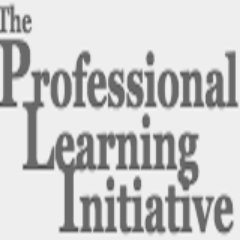 Professional Learning Initiative Profile