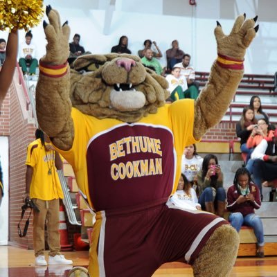 He's big, he's bad, he's ferocious. He's Dr. Wyle D. Catt, the lean and mean mascot of @BCUathletics #HailWildcats #PreyTogether