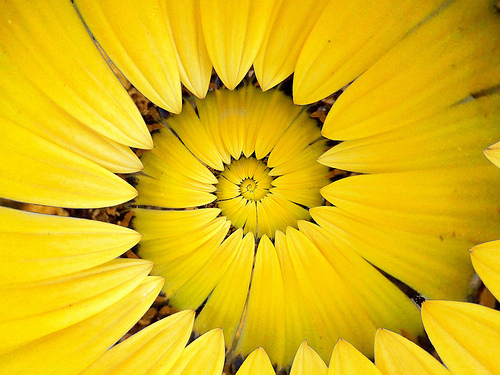 gina123gina's profile picture. 