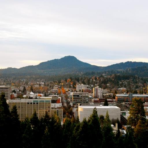 Curating locally-grown media feeds in Eugene, OR & the Cascadia region. Part of 400-city The Breaking News Network, community news supporting the social good.