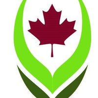 AB Seed Processors(@abseedpro) 's Twitter Profile Photo