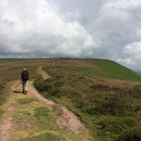Stephen Wood (@stephenwood8) 's Twitter Profile