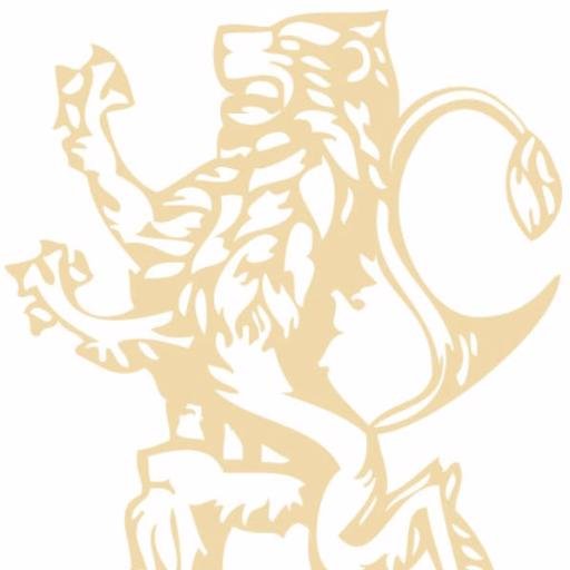 sales_tcg's profile picture. 