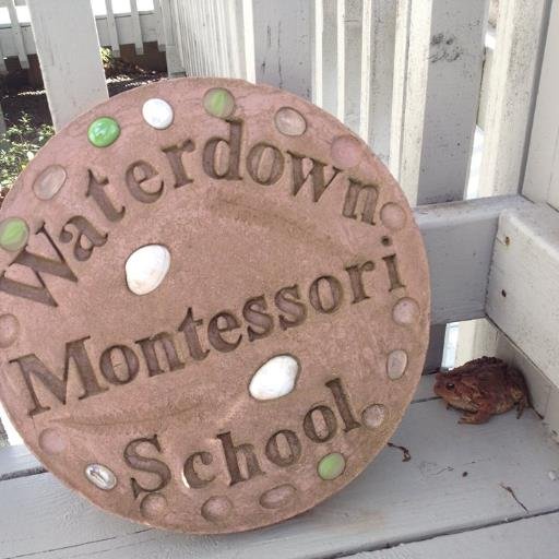 Learn on Nature’s Doorstep
Waterdown Montessori School is a premier CCMA-accredited school that offers an unparalleled educational experience.