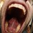 defanti's profile image