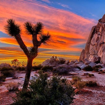 landvendor's profile picture. Rural land for low prices