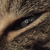 Simon Philpott (@bombersimon) Twitter profile photo
