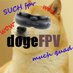 DogeFPV (@dogefpv) Twitter profile photo DogeFPV (@dogefpv) Twitter profile photo