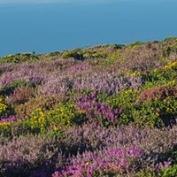 Kate Walter (@kate_walter_) 's Twitter Profile Photo