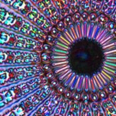 @bxv_biophys