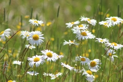 Qrtr4Thoughts's profile picture. I 💙 overanalyzing, movies & books, hobby photographer. Folklore, Speak Now & Lover eras. Truth matters even when inconvenient. Independent