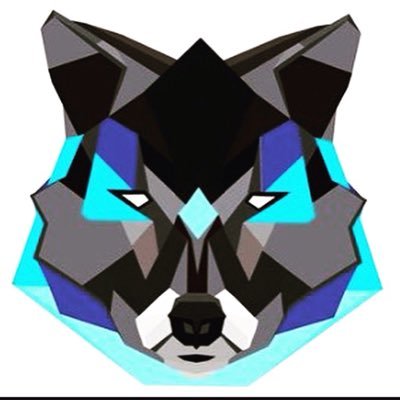 Dj_wolf hear and my goal is to get 1000 followers and I am 10