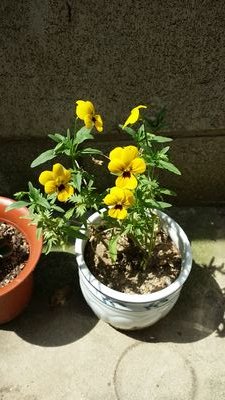 tletter1004's profile picture. 푸른 하늘과 흰구름 초록빛 산과 들을 좋아해~♡