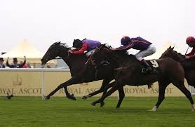ew_today's profile picture. I'm all about finding good EW bets. I use a combination of form, betting trends, jockey booking etc.. Do win bets too.

EW bets in multiples are my fav.