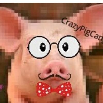 YouTube- CrazyPigCan_ Instagram- CrazyPigCan_