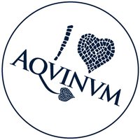 Aquinum(@ancient_aquinum) 's Twitter Profile Photo