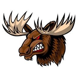 Image result for moose