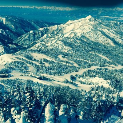 MattSch01379946's profile picture. 