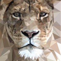 Rhys Catania (@rhyscat_) 's Twitter Profile