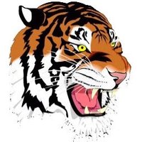 Newton North Tigers(@NNHSTigers) 's Twitter Profile Photo