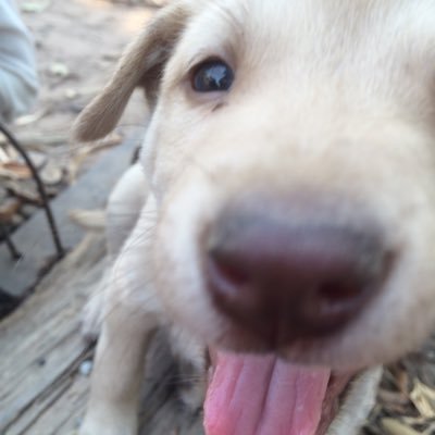 Jungchika's profile picture. ~ Fearless = B.B.H ~