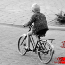 jeroen12's profile picture. 