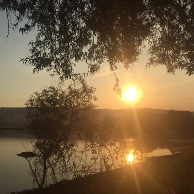 F_ortunato's profile picture. lalalala