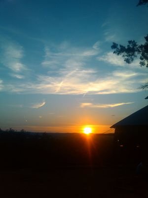 italianstars's profile picture. 