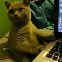 weijy (@weay65) 's Twitter Profile