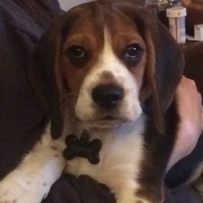 dukey1106's profile picture. Barooooooo!