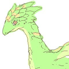 クロタさんのプロフィール画像