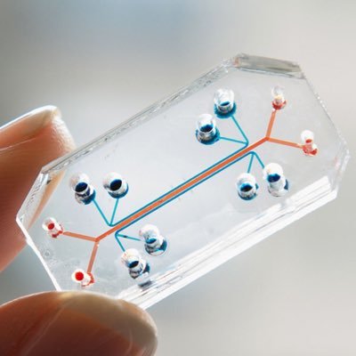 Highlighting sci/tech that's saving animals, and humans and the planet, too