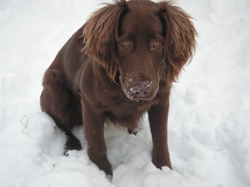 JCP70's profile picture. 