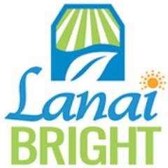 Lanai Bright — Southwest Florida's Premier Lanai Lighting Company Visit us at https://t.co/MUL46mMjR9