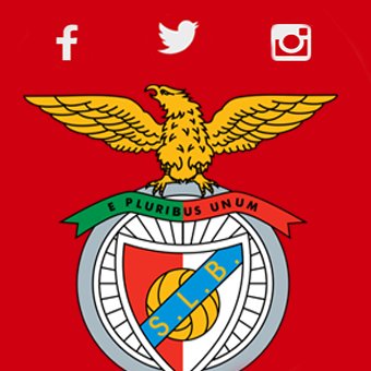 Segue o @SLBNetworking e nunca percas a actividade social dos atletas e órgãos de comunicação do @slbenfica.